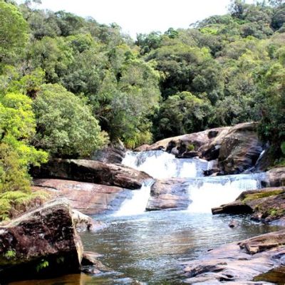 ¡El Parque Estadual da Serra do Mar: Una joya natural para explorar cerca de la vibrante Guarujá!